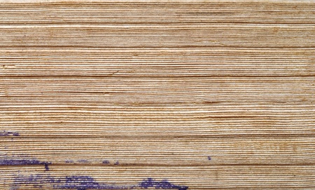 Aged yellow paper of the old book の写真素材