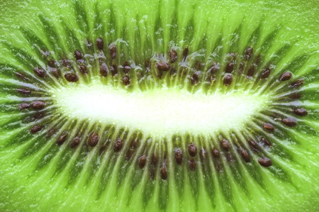 Close up on Kiwi fruit on whiteの写真素材