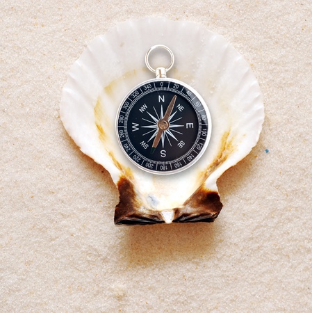 Close Up of a compass laying in shell