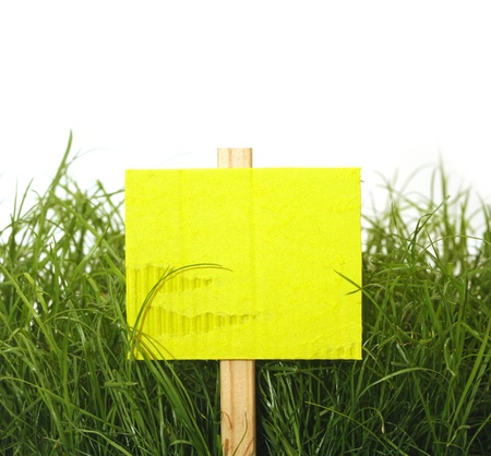 cardboard sign with grass isolated on whiteの写真素材