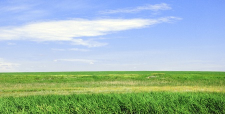 background of cloudy sky and grass の写真素材