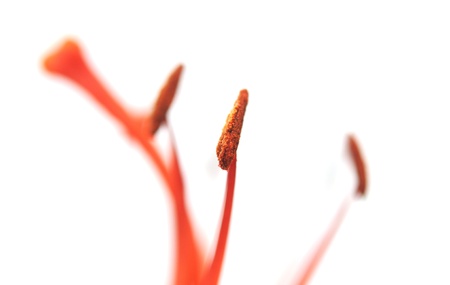 orange lilies isolated on white backgroundの写真素材