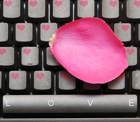 pink rose petal and keyboard, love concept の写真素材