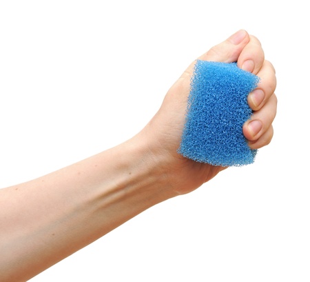 Household sponge in a hand on a white background の写真素材