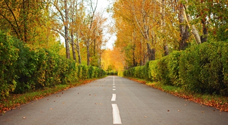 autumn road with a hiker in the far distance 