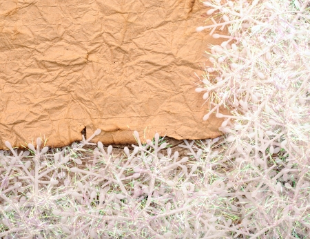 Christmas background. blank old paper sheet with snowflakesの写真素材