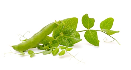 fresh pea with green leaf isolated on white background 