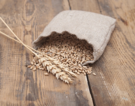 The scattered bag with wheat of a grain on old wooden tableの写真素材