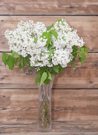 Lilac flowers on rustic background の写真素材
