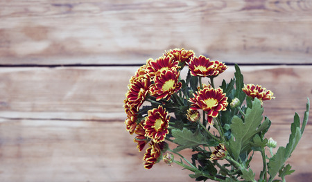 Bouquet of beautiful chrysanthemums on table close-up の写真素材