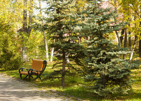 Bench in autumn parkの写真素材