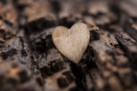 Valentine day. Hearts on a background of wood. Space for text.の写真素材
