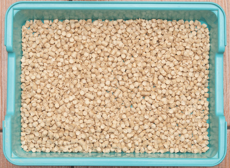 Cat litter box with pine wood chipの写真素材