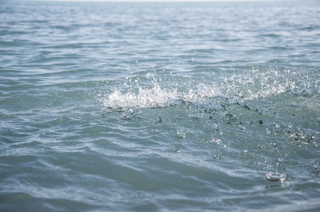 Splash in sea water