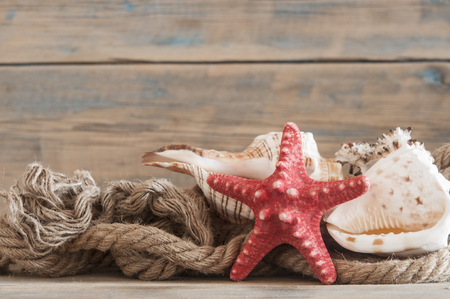 Nautical rope, starfishes and sea shells on wooden deckの写真素材