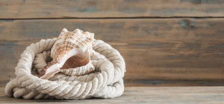 Nautical rope, starfishes and sea shells on wooden deckの写真素材