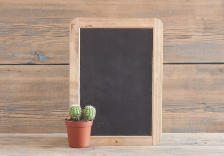 cactus plant on wooden background with space for text placementの写真素材