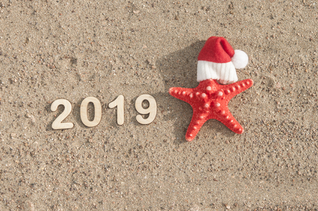 Starfish in Santa Claus hat and seashells on a summer beach. Merry Christmas.の写真素材