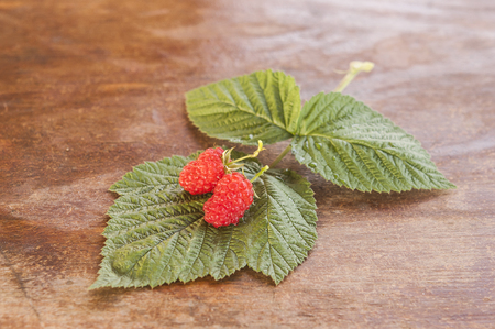 Raspberries with leaves on the old wooden table.の写真素材