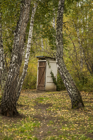 old wooden toilet cabin in an autumn forestの写真素材