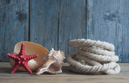 Summer sea vacation background with shells and red star on a wooden blue background with copy spaceの写真素材