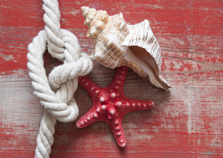 Sea travel frame decor with seashells and rope over wooden backgroundの写真素材