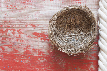 beautiful little bird's nest on wooden backgroundの写真素材