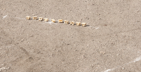 Kazakh national asyki diceの写真素材