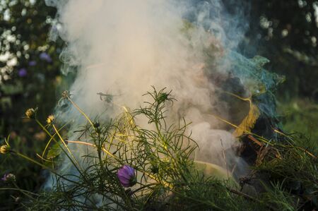 dry grass, and leaves burns in the garden. Fire and Smoke from during Burning of garden waste. Garbage in fire.の写真素材