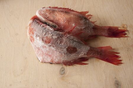 Sea perch on a wooden board. Fish on the table. ocean perch