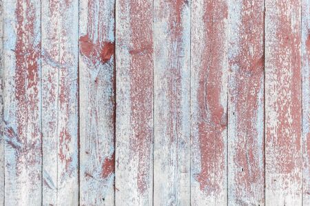 Modern wood texture. bark wood use as natural background.の写真素材