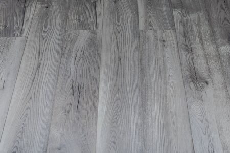 Modern wood texture. bark wood use as natural background.の写真素材