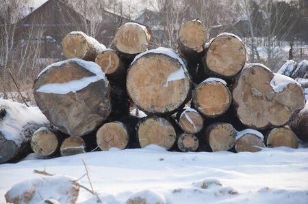 Cross section of the timber, firewood stack for the background. A lot of cutted logs. Stack of sawn...