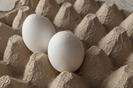 Chicken eggs in a tray, Empty cardboard tray with two eggs. A pair of white eggs.