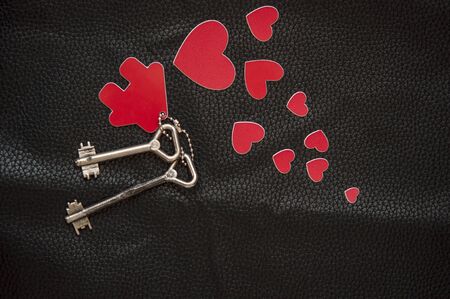 Close up of house keys on a house shaped keychain