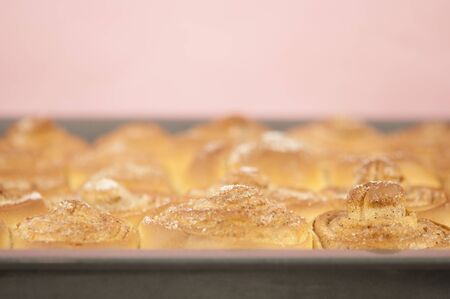 Fresh sweet homemade cinnamon rolls