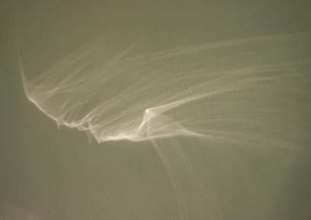 abstract texture overlay effect for photo and mockups. Shadows for natural light effects