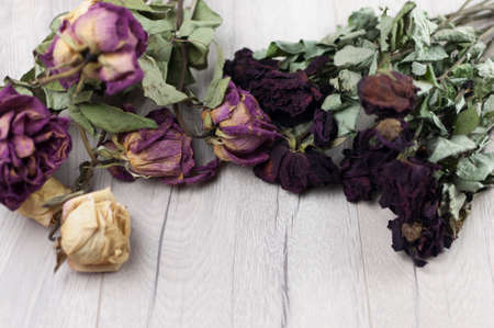 bouquet dried roses on wood background with copy spaceの写真素材
