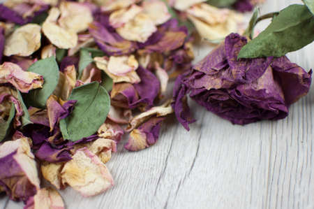 bouquet dried roses on wood background with copy space