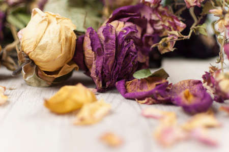 bouquet dried roses on wood background with copy spaceの写真素材