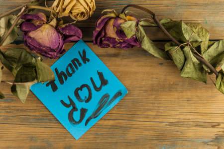 dried roses and blue paper on wooden wall with the words thank you.