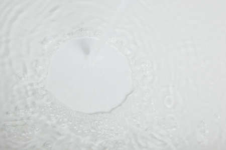 closeup of bubbles in water