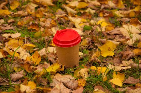 disposable coffee cup on yellow leaves