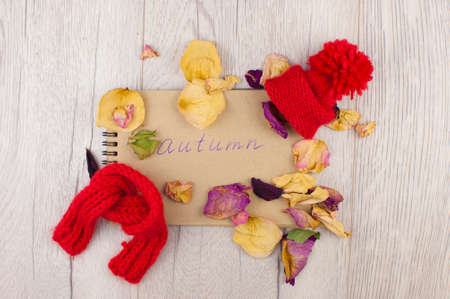 Cozy home desk, autumn fall concept. Red scarf, hat, notepad, dried flowers on wooden background....