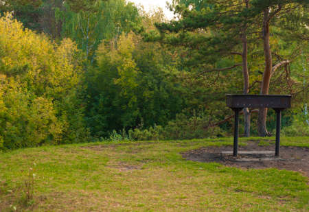 Autumn forest scenery with road of fall leavesの写真素材