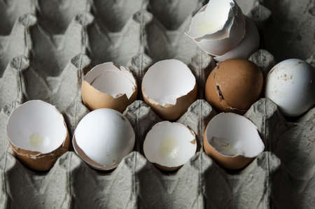 many shell egg scattered in the cardboard eggの写真素材