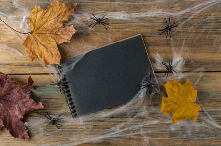 open notebook with blank black pages, spider web and black spiders on a wooden background, top viewの写真素材