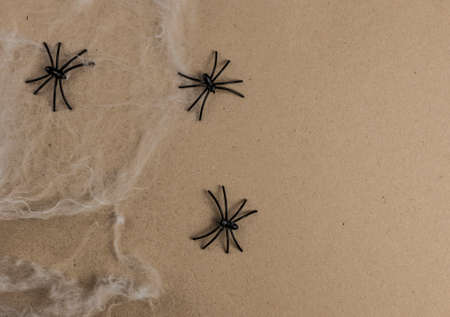 halloween, decoration and horror concept - black toy spiders on artificial cobwebの写真素材