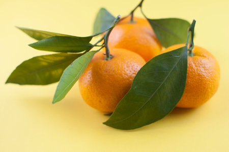 ripe orange fruit on yellow backgroundの写真素材