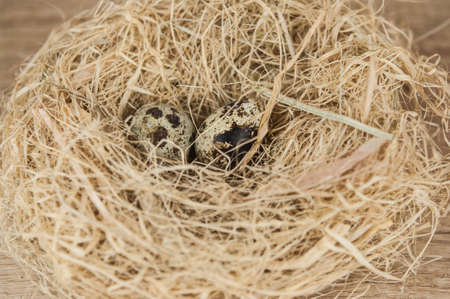 nest with quail eggs on a wooden kitchen table. Easter holiday. Space place to paste text, title